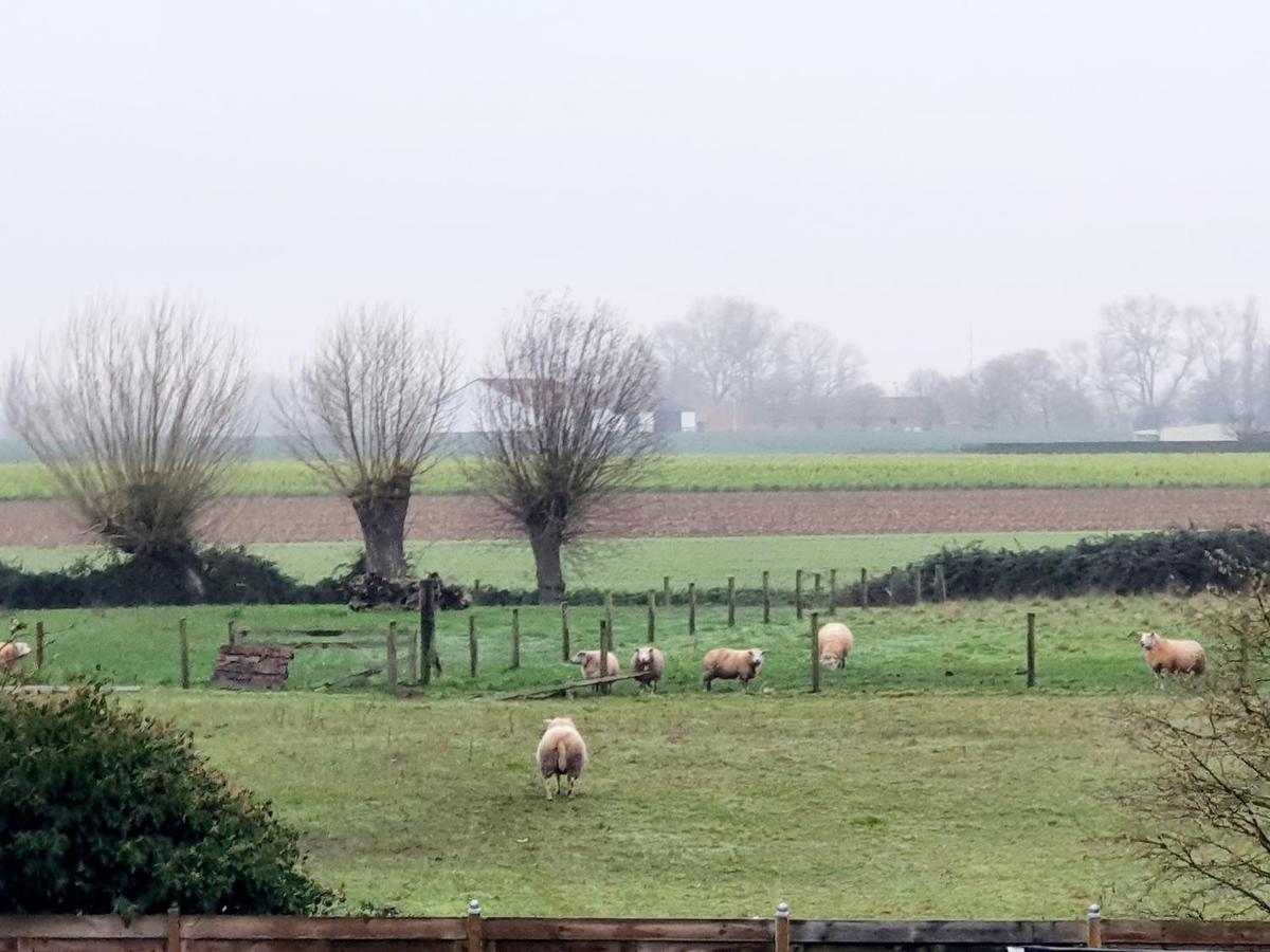 Luppolo Vakantiehuis Westhoek Alveringem 外观 照片